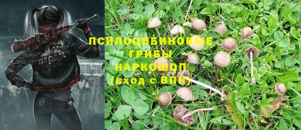 экстази Зеленокумск