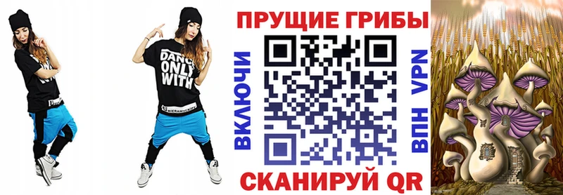 Псилоцибиновые грибы прущие грибы  Купить где  Малгобек 