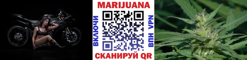 Марихуана план  Купить где  Малгобек 